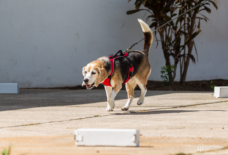 Image Name: _23A6742