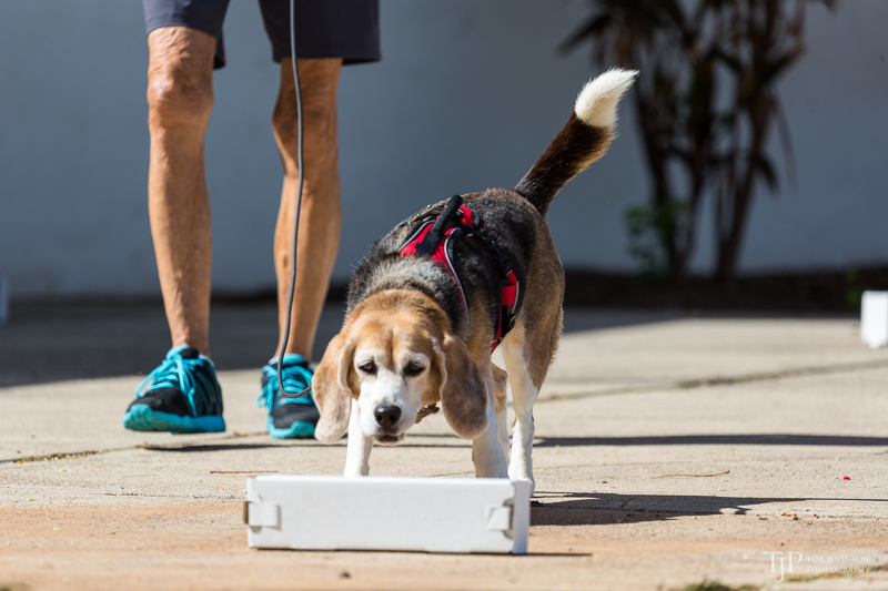 Image Name: _23A6743