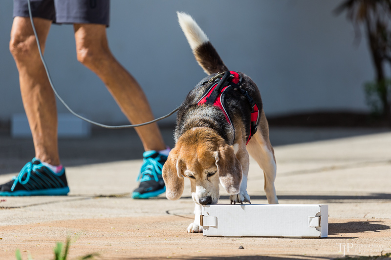 Image Name: _23A6744