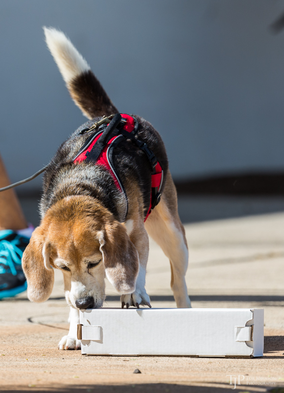 Image Name: _23A6744