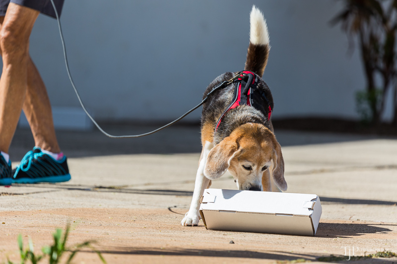 Image Name: _23A6745