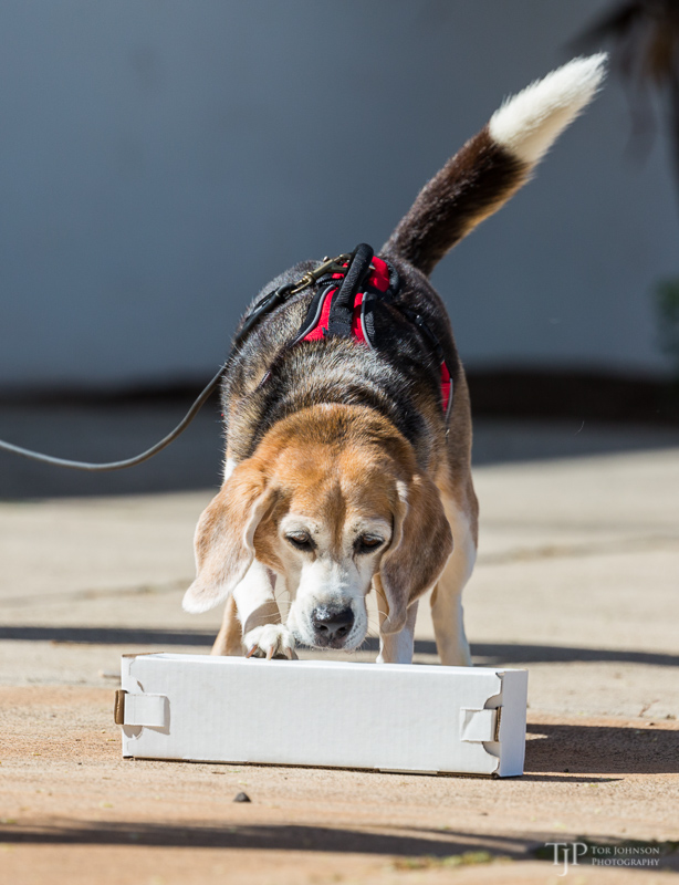 Image Name: _23A6746