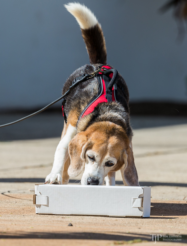 Image Name: _23A6747