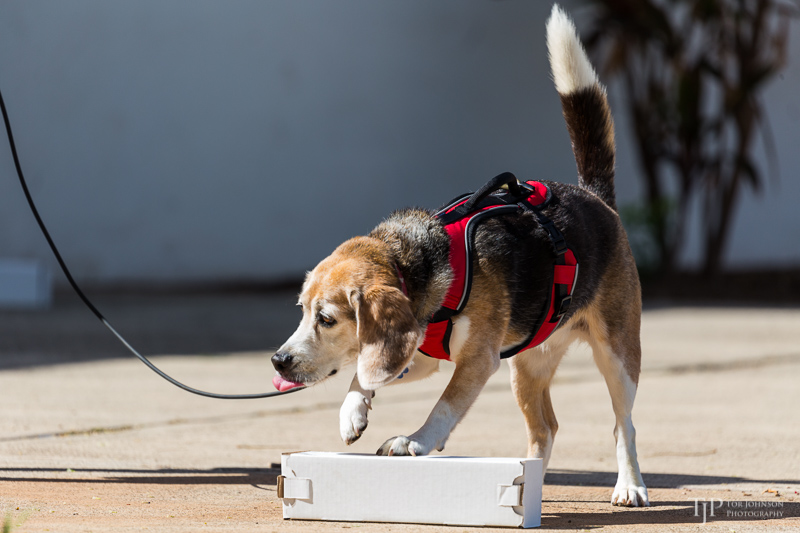 Image Name: _23A6749