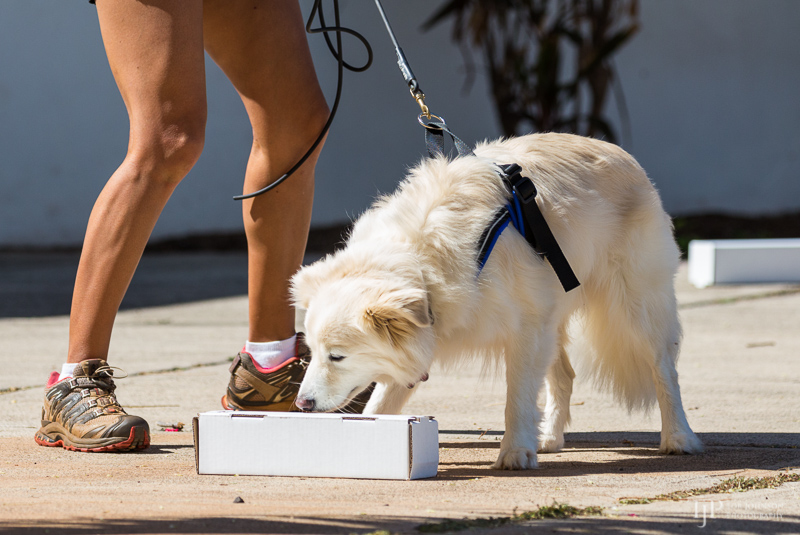 Image Name: _23A6773