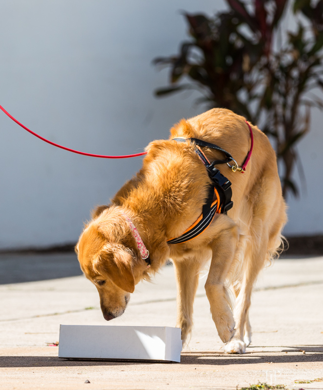 Image Name: _23A6783