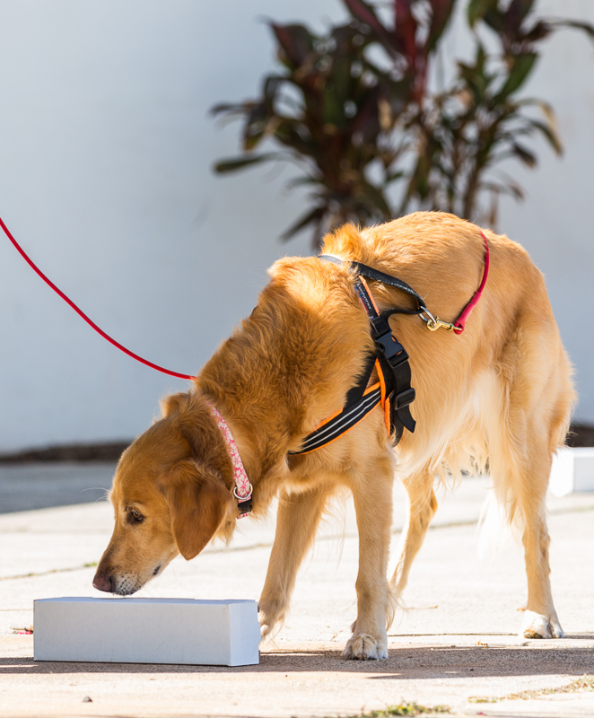 Image Name: _23A6785