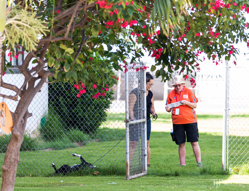 Image Name: _23A6799