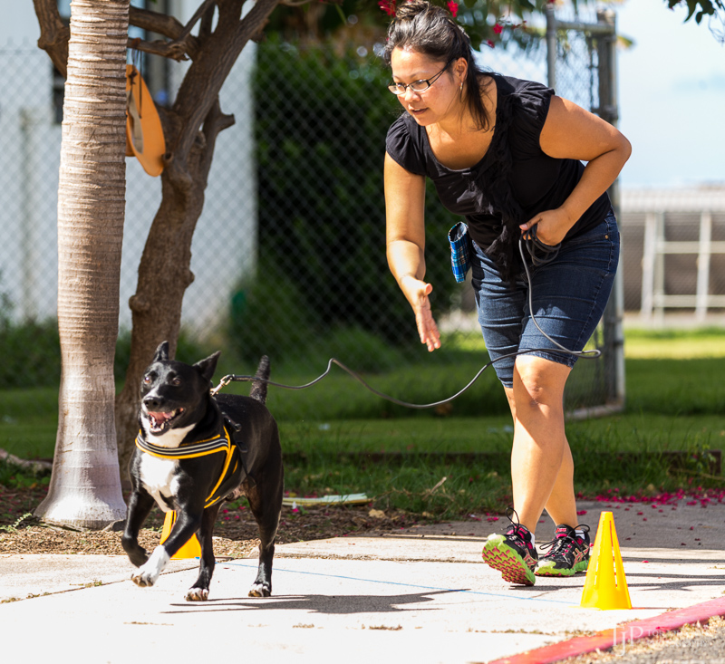 Image Name: _23A6808