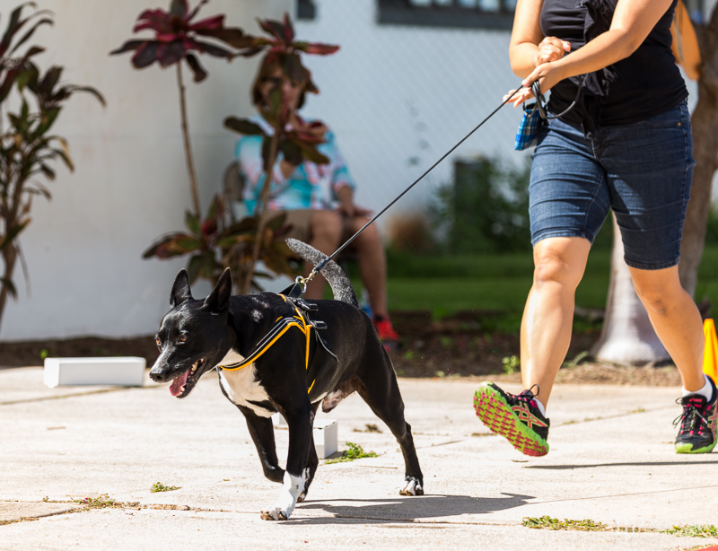 Image Name: _23A6809