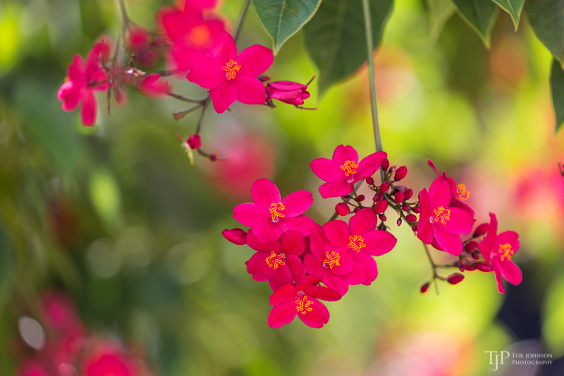 Image Name: _23A6836