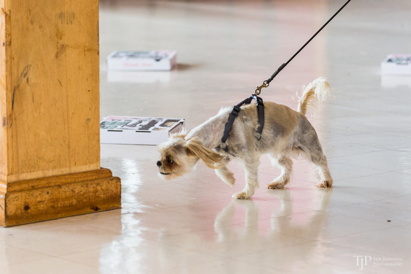 Image Name: _23A6843