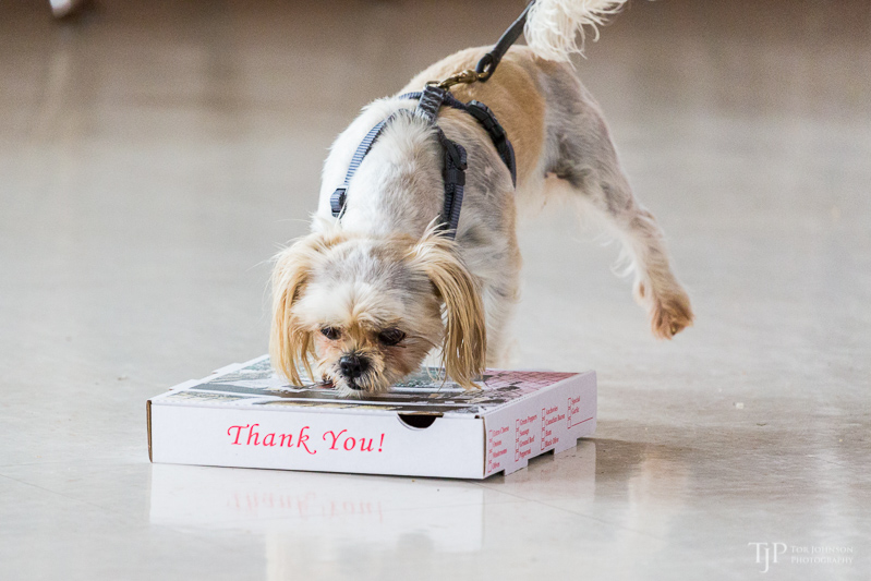 Image Name: _23A6846