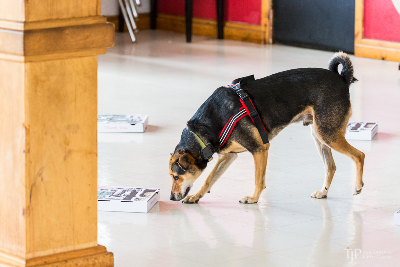 Image Name: _23A6853