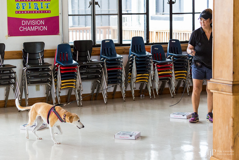 Image Name: _23A6858