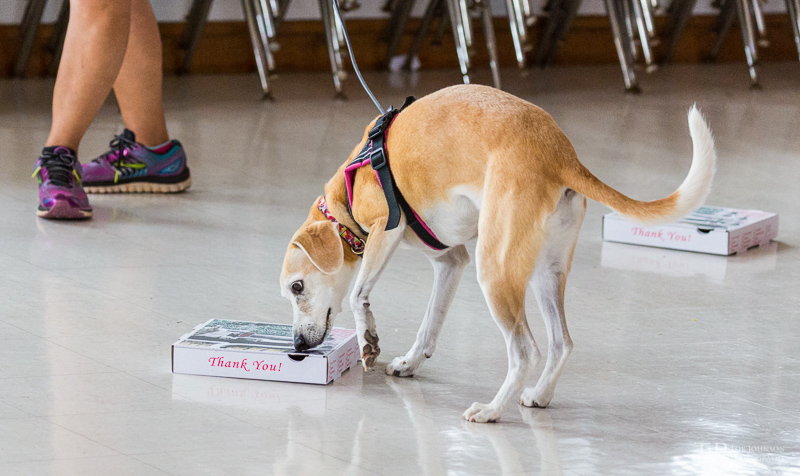 Image Name: _23A6862