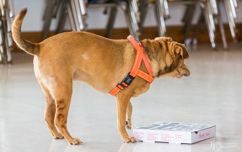 Image Name: _23A6958