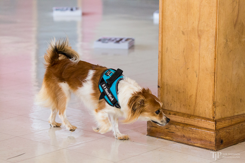 Image Name: _23A6968