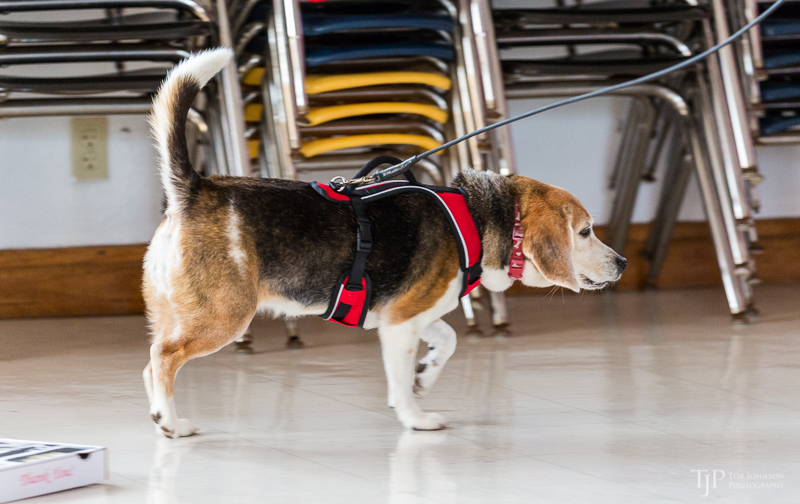 Image Name: _23A6981