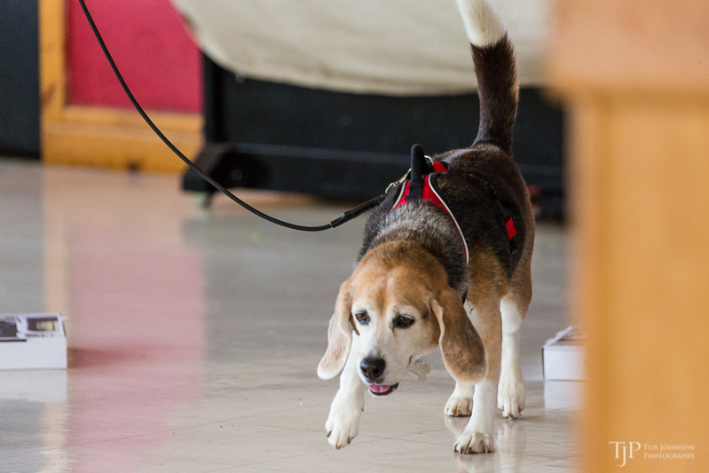 Image Name: _23A6983