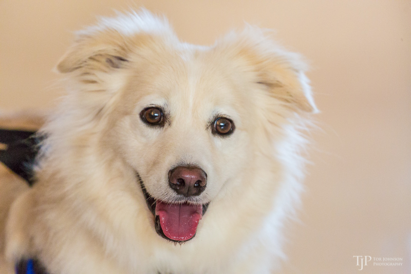 Image Name: _23A6999