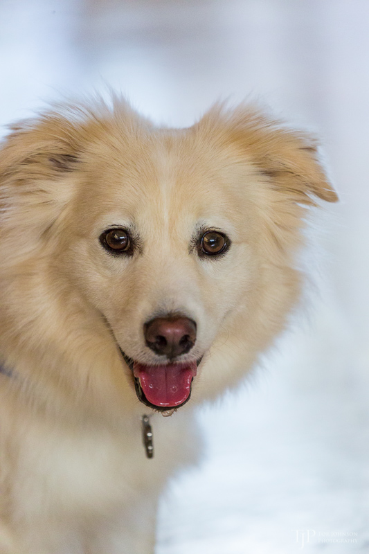 Image Name: _23A7006