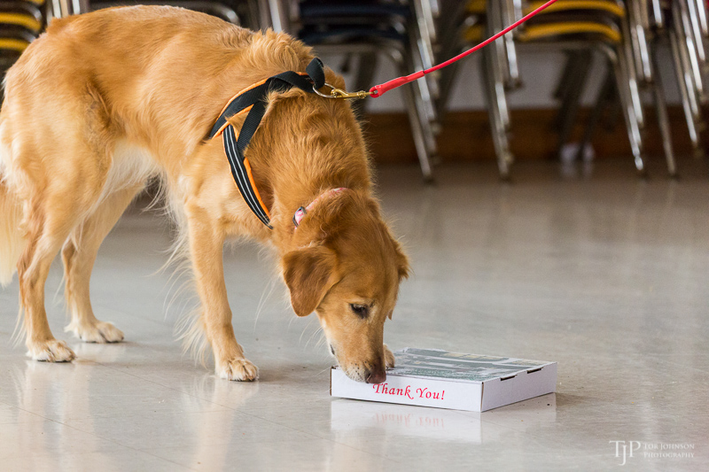 Image Name: _23A7011