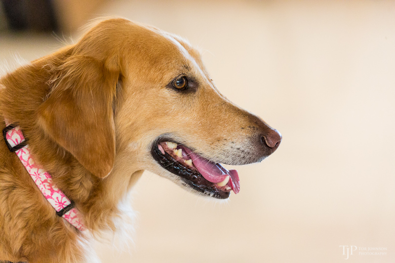 Image Name: _23A7015