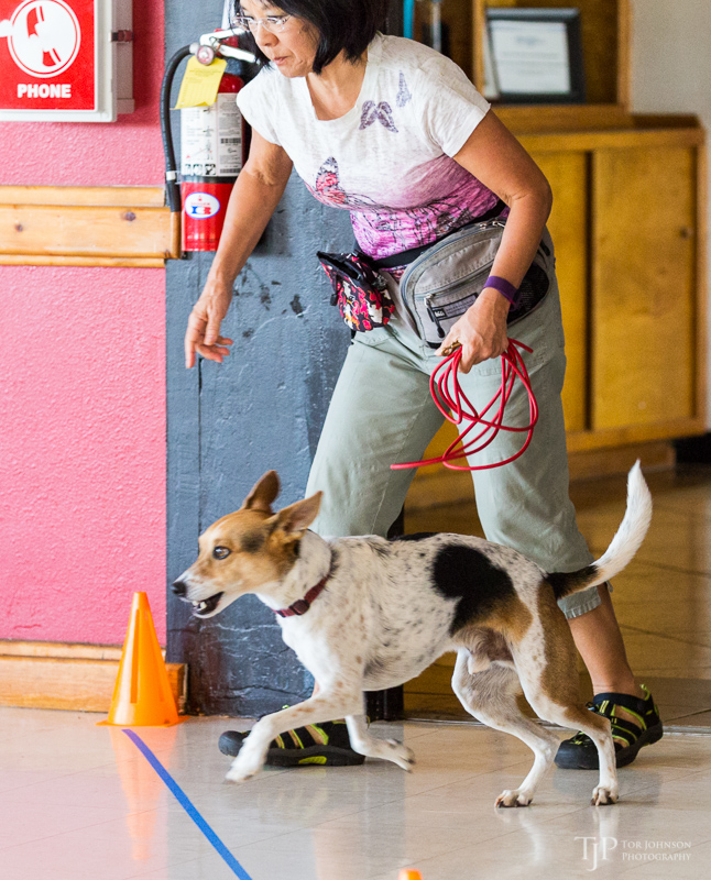 Image Name: _23A7018