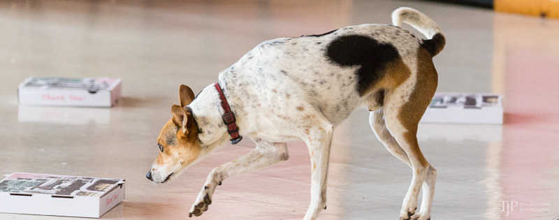 Image Name: _23A7019