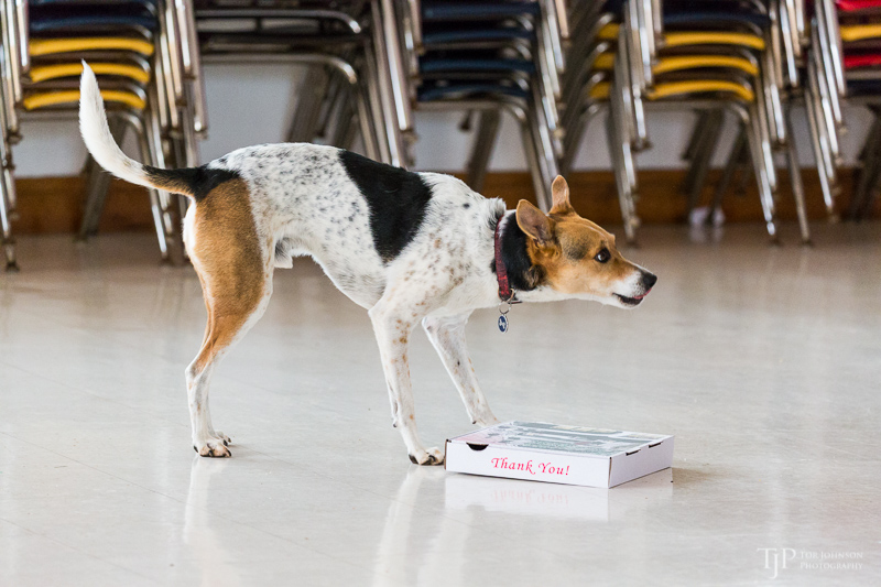 Image Name: _23A7022