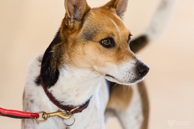 Image Name: _23A7027