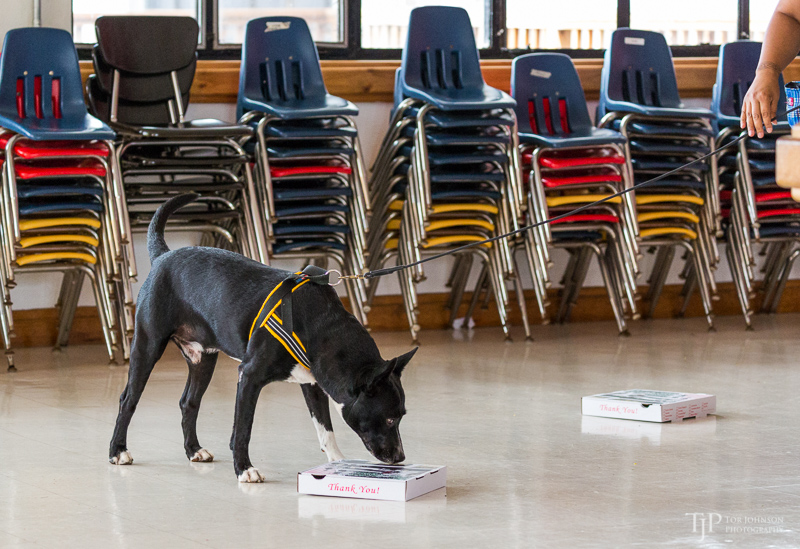 Image Name: _23A7033