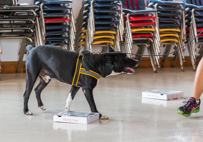 Image Name: _23A7034