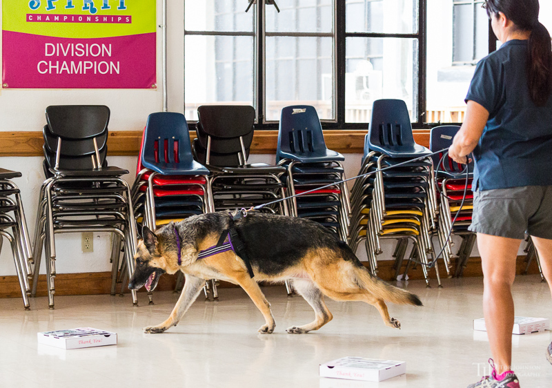 Image Name: _23A7040