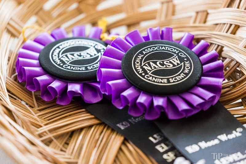 Image Name: _23A7072