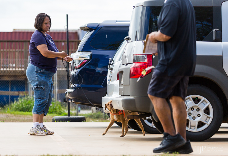 Image Name: _23A7104