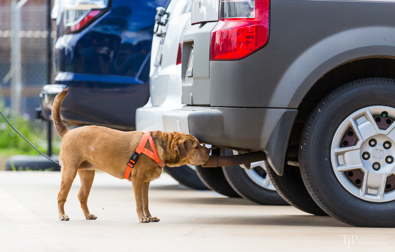 Image Name: _23A7106