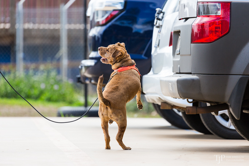 Image Name: _23A7111