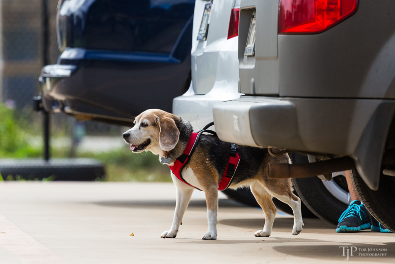 Image Name: _23A7118