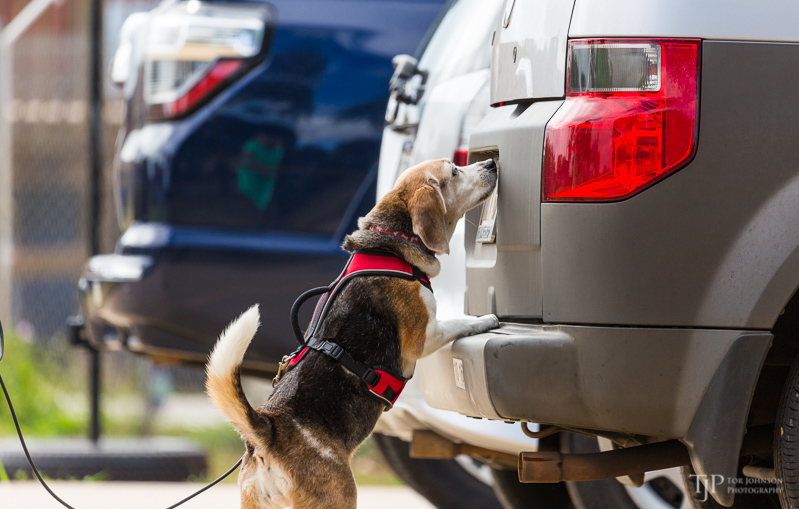 Image Name: _23A7120