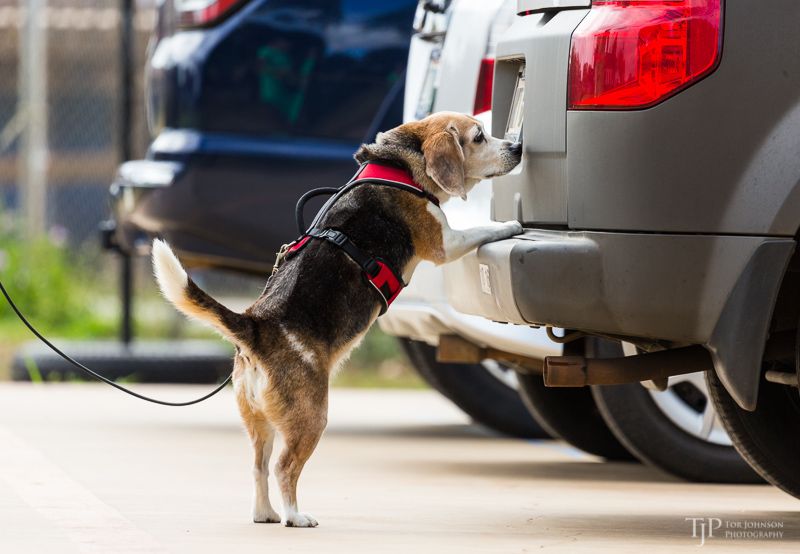 Image Name: _23A7121