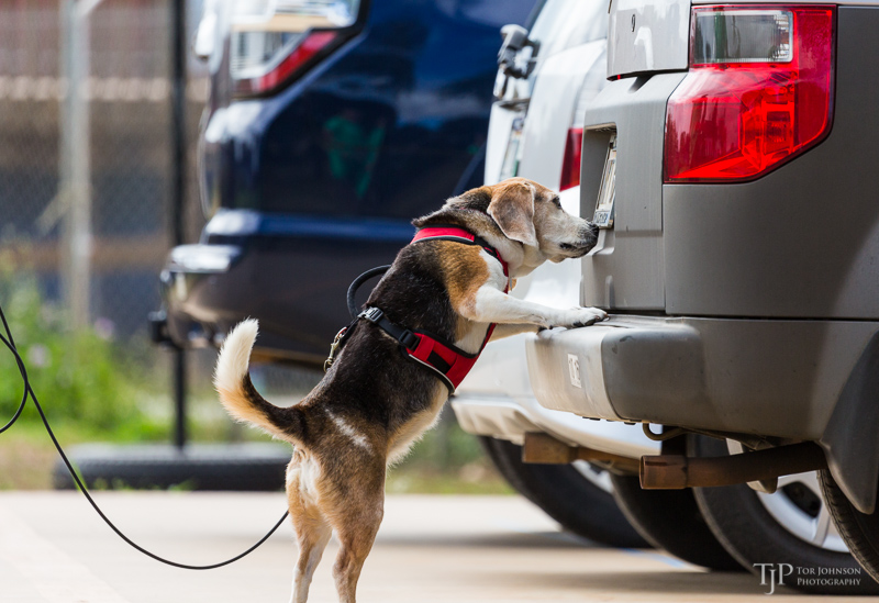 Image Name: _23A7123