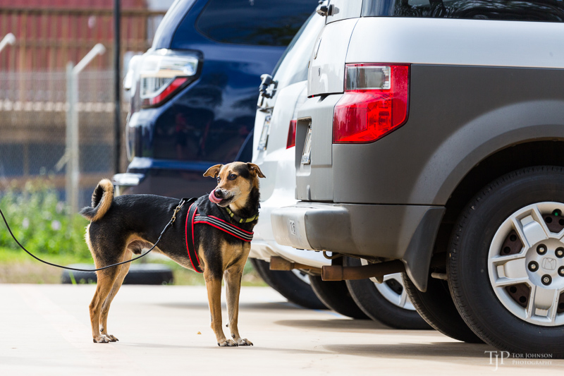 Image Name: _23A7141