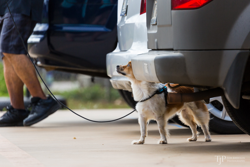 Image Name: _23A7149