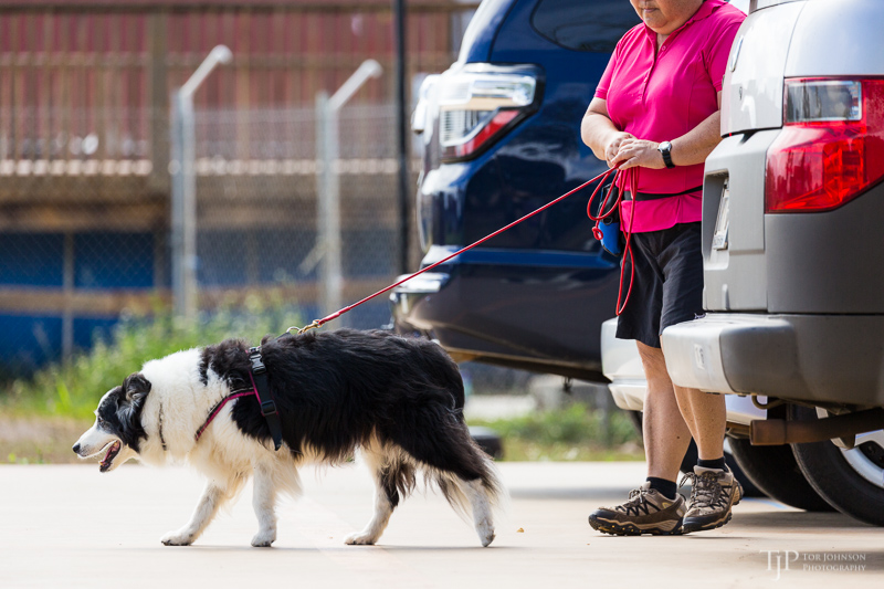 Image Name: _23A7162