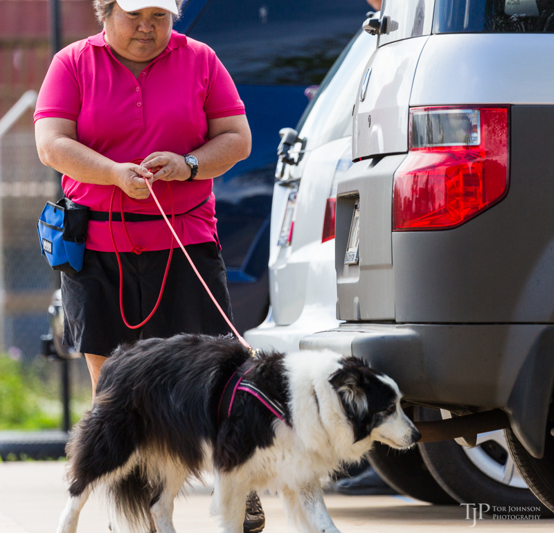 Image Name: _23A7163