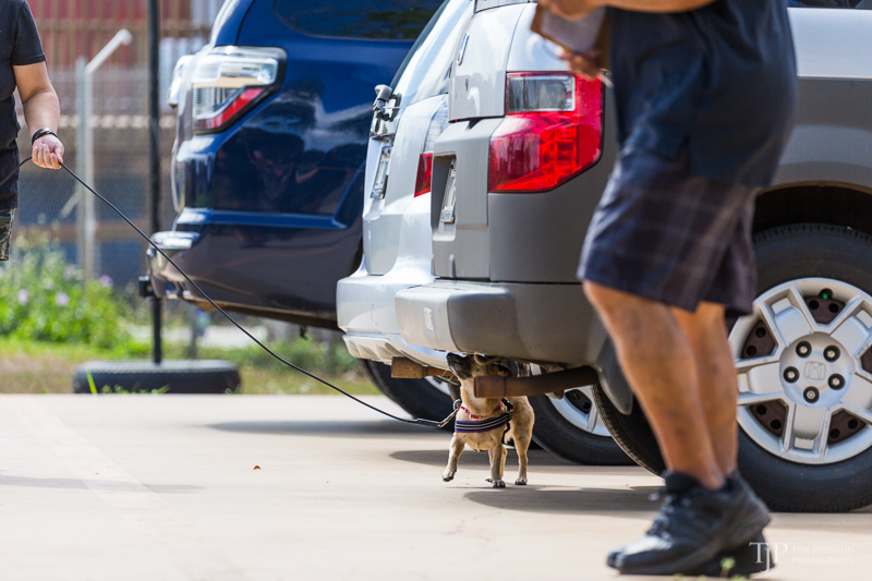 Image Name: _23A7170