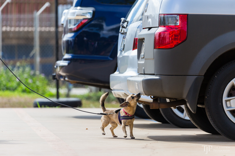 Image Name: _23A7173