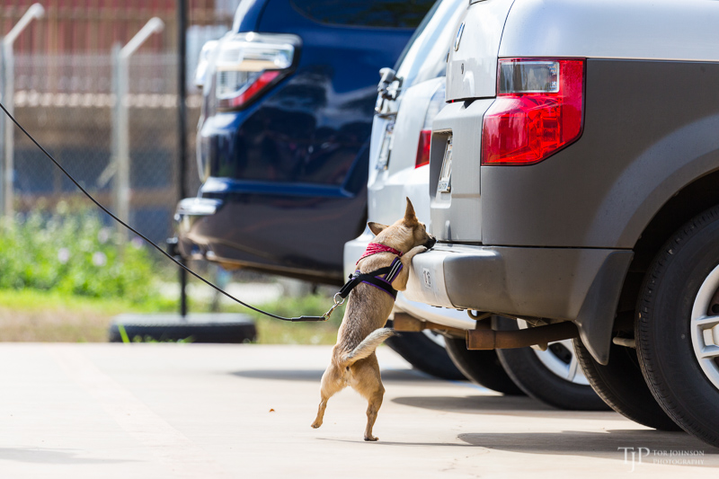 Image Name: _23A7175